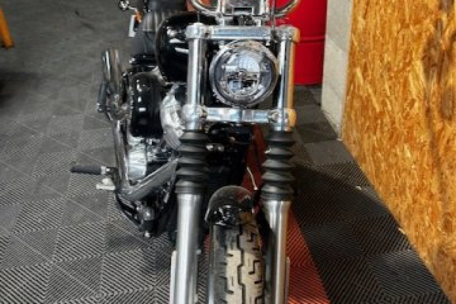 HARLEY SOFTAIL STANDARD 1745 2022, Saint-Étienne, Diagnostic Moto Casse