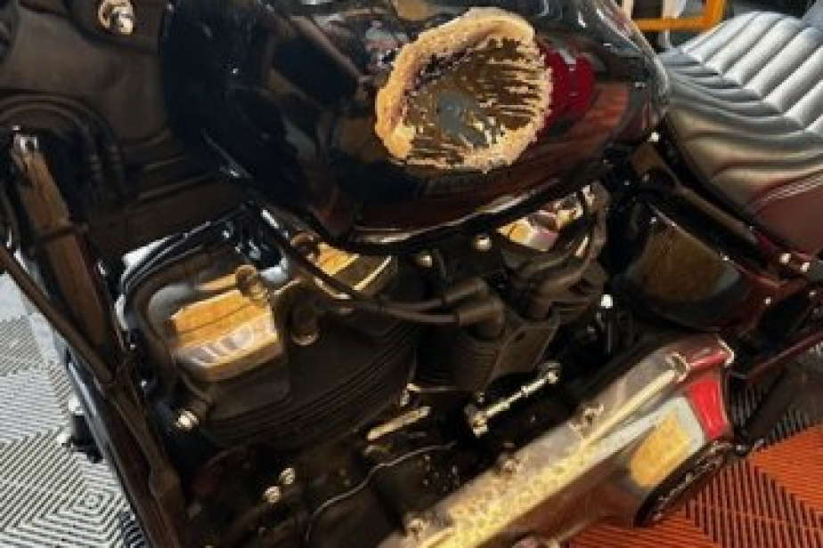 HARLEY SOFTAIL STANDARD 1745 2022, Saint-Étienne, Diagnostic Moto Casse