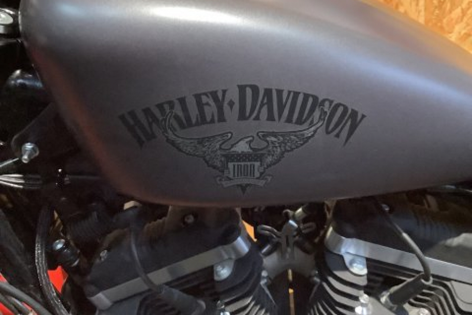 HARLEY SPORSTER 883 IRON 2016, Saint-Étienne, Diagnostic Moto Casse