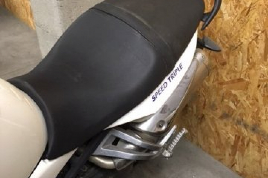 Triumph 1050 speed triple 2008 (pièces détachées), Saint-Étienne, Diagnostic Moto Casse