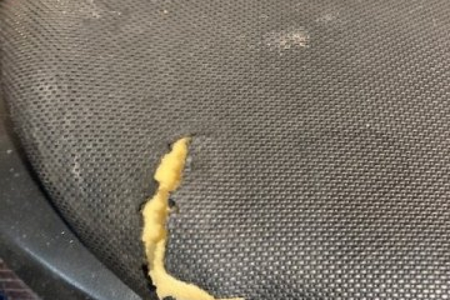 TRIUMPH 675 STREET TRIPLE 2008, Saint-Étienne, Diagnostic Moto Casse