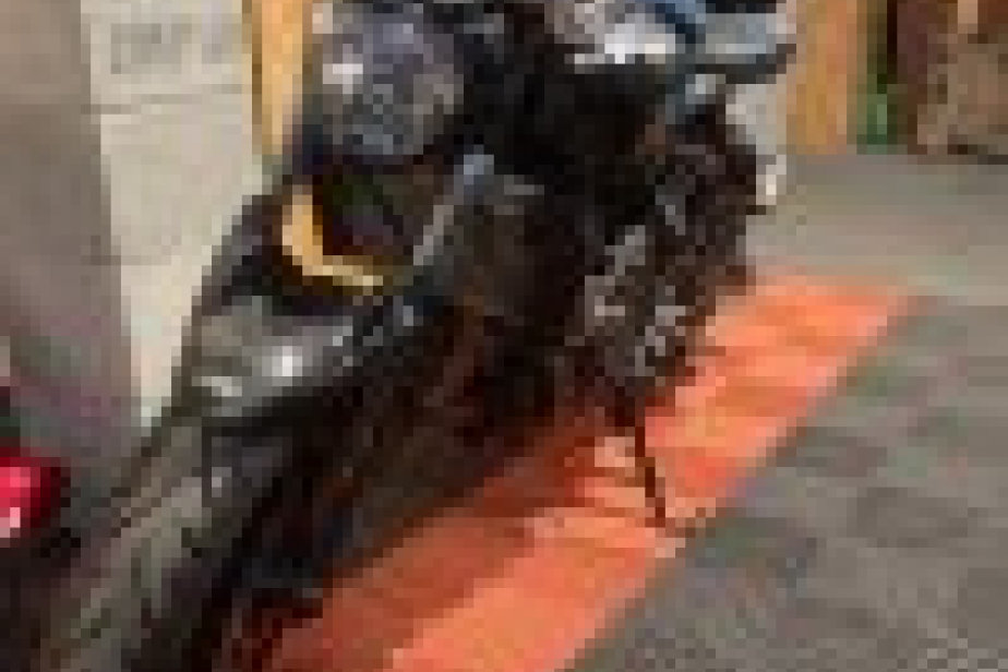 YAMAHA MT07 2016, Saint-Étienne, Diagnostic Moto Casse