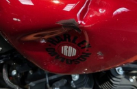 HARLEY SPORSTER 883 IRON 2019, Saint-Étienne, Diagnostic Moto Casse