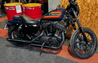 HARLEY SPORSTER XL1200NS 2019, Saint-Étienne, Diagnostic Moto Casse